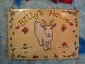 GOAT GARDEN FARM SHED OR WALL SIGN ANY COLOUR OR BREED WOODEN PERSONALISED ORDER 8 X 6 RECTANGLE